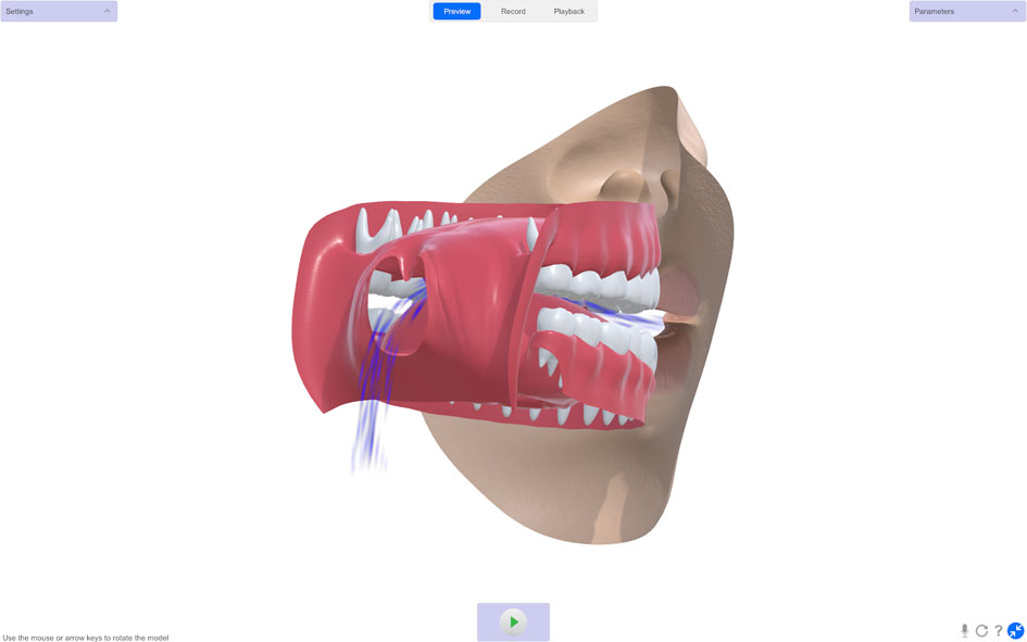 NasalanceViewer 3D nasometry software — 3D model showing oral airflow