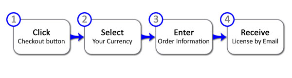 Online checkout process