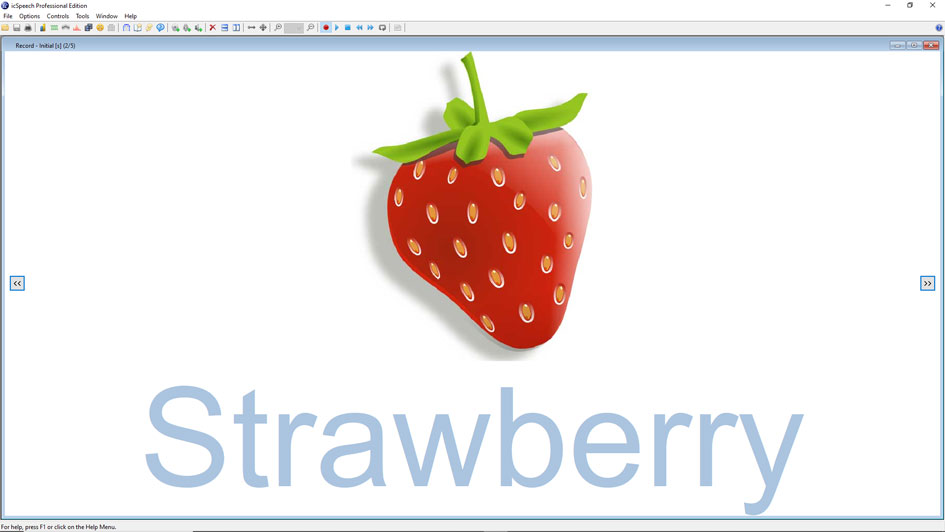 icSpeech Professional Edition • recorder with picture prompts