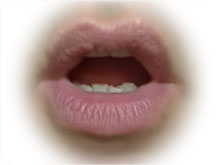 lip position for /ɔɪ/ mouth position for /ɔɪ/