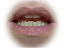 lip position for /d/, /t/ and /n/ mouth position for /d/, /t/ and /n/