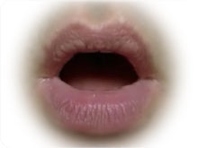 lip position for /ɑ/ mouth position for /ɑ/