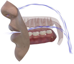 SNORS 3D • exhalation (blue flow)