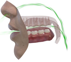 SNORS 3D • inhalation (green flow)