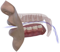 NasalanceViewer 3D • oral airflow (soft palate raised)